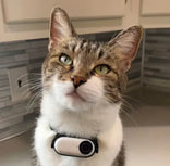 YOURPETCAM™ PET COLLAR CAM 1080P HD YourPetCam