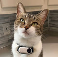YOURPETCAM™ PET COLLAR CAM 1080P HD YourPetCam